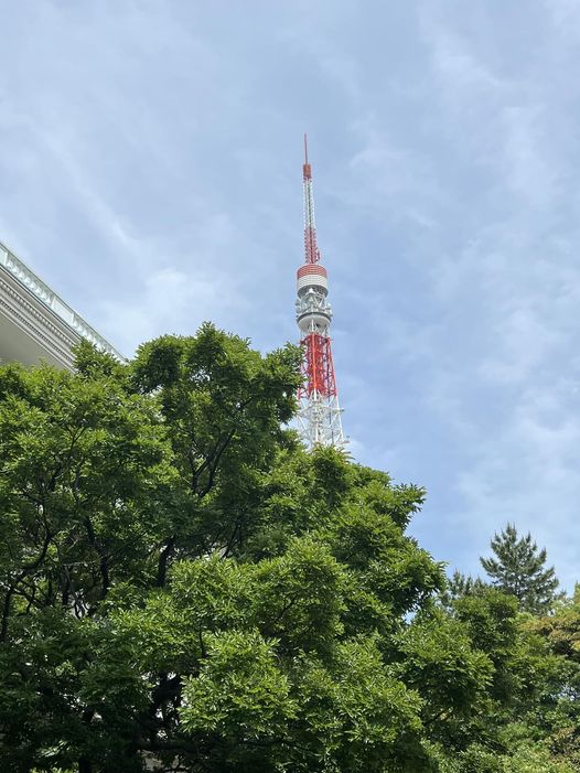 雲、木、東京タワーの画像のようです